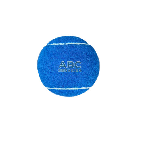 HC - Vibrant Rubber Fetch Training Ball Thumbnail